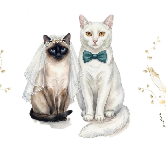Mocka e Gaspar, os gatinhos do casal